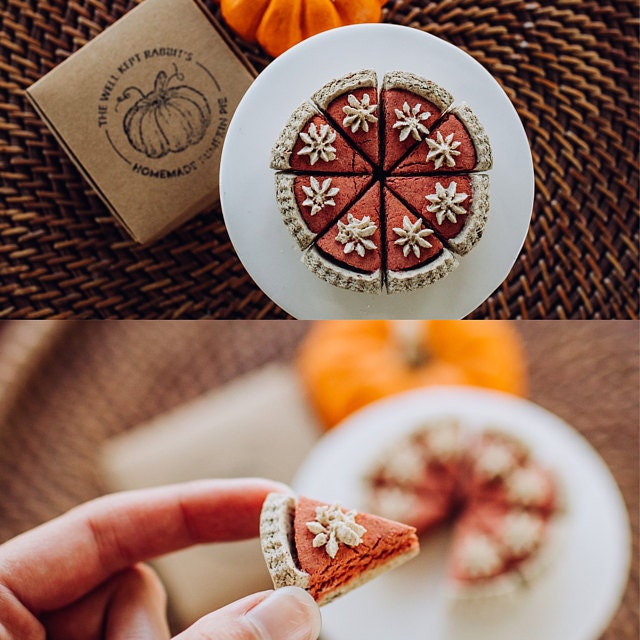 Homemade Pumpkin Pie 